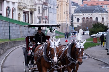 Karlovy Vary Czechia